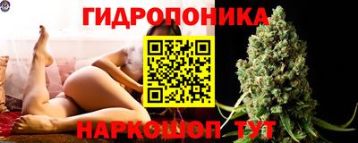 a pvp Канаш