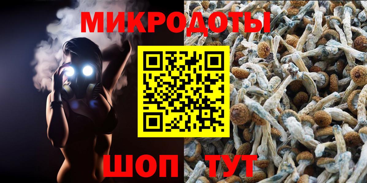 Галлюциногенные грибы мицелий Чапаевск